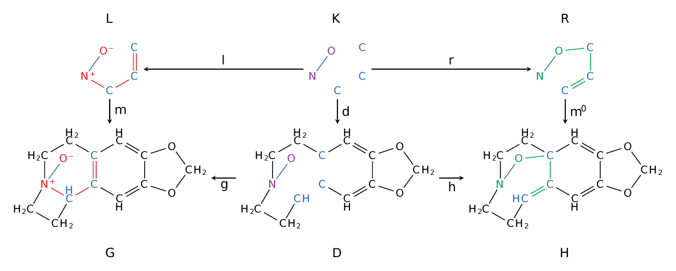 DPO diagram for the Meisenheimer rearrangement reaction.