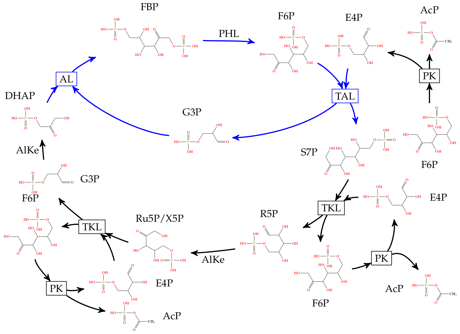 An automatically inferred pathway alternative to glycolysis.
